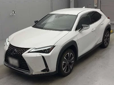 Lexus UX250h
