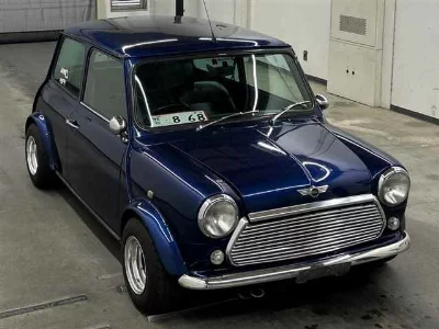 Rover MINI