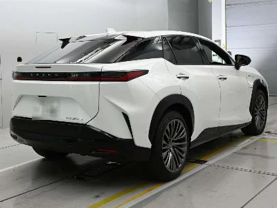 Lexus RZ300e
