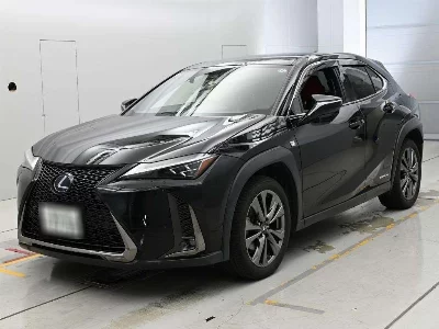Lexus UX250h