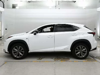 Lexus NX300h