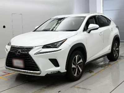 Lexus NX300h