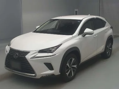 Lexus NX300h