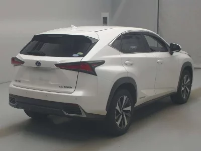 Lexus NX300h