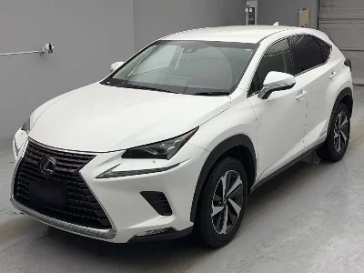 Lexus NX300h