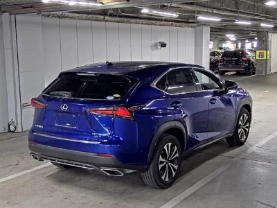 Lexus NX300