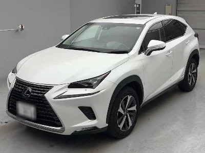 Lexus NX300h