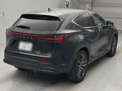 Lexus NX250