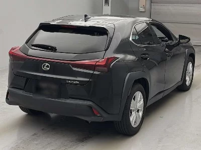 Lexus UX250h