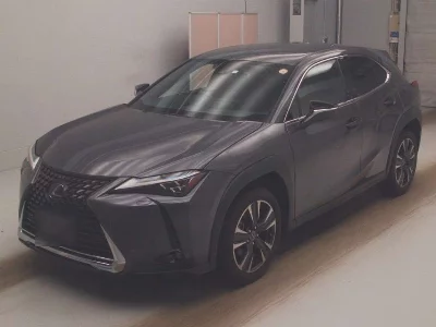 Lexus UX250h
