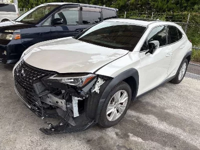 Lexus UX250h
