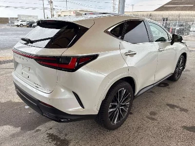Lexus NX350h
