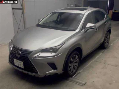 Lexus NX300