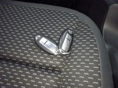 NISSAN DUALIS
