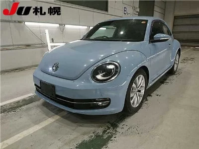VOLKSWAGEN THE BEETLE