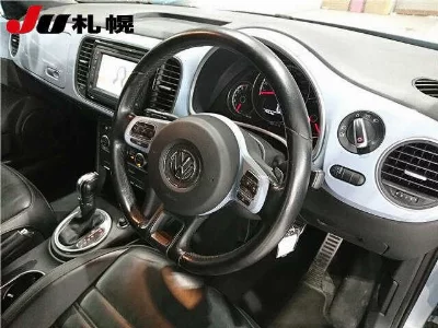 VOLKSWAGEN THE BEETLE