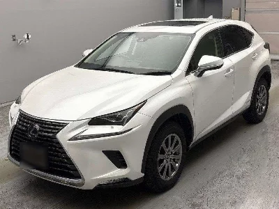 Lexus NX300h