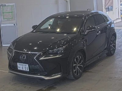 Lexus NX300