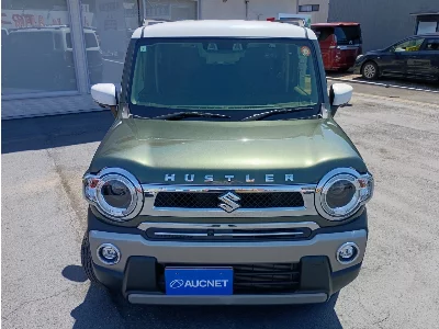 SUZUKI HUSTLER