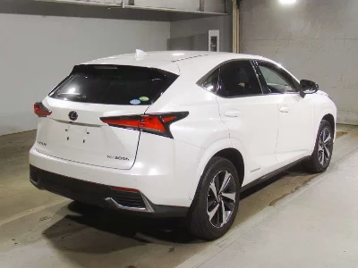 Lexus NX300h