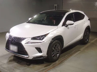 Lexus NX300h