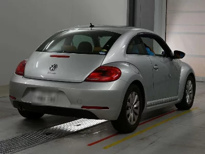 VOLKSWAGEN THE BEETLE
