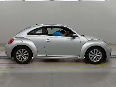 VOLKSWAGEN THE BEETLE