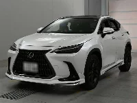 Lexus NX250