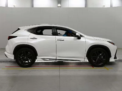 Lexus NX250