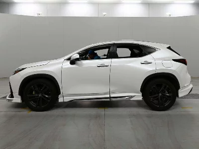Lexus NX250
