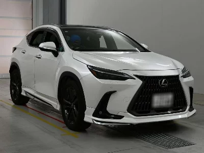 Lexus NX250