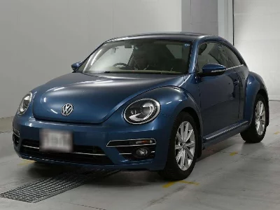 VOLKSWAGEN THE BEETLE