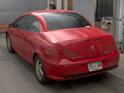PEUGEOT 307