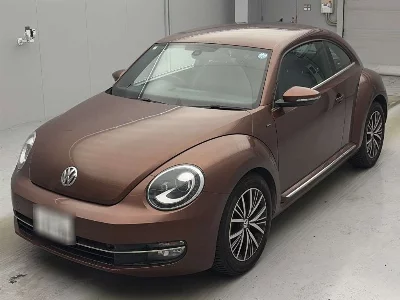 VOLKSWAGEN THE BEETLE