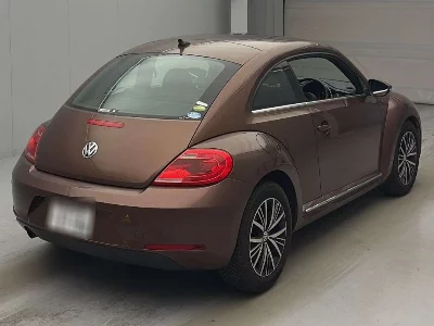 VOLKSWAGEN THE BEETLE