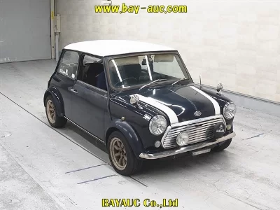 ROVER MINI