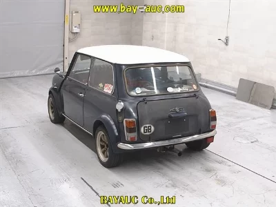 ROVER MINI