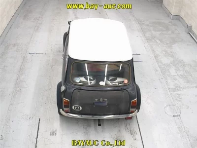 ROVER MINI