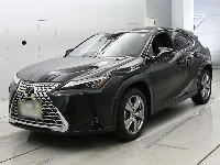 Lexus UX250h