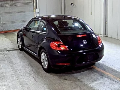 VOLKSWAGEN THE BEETLE