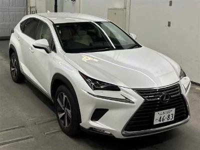 Lexus NX300h