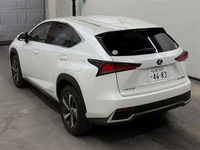 Lexus NX300h