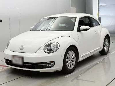 VOLKSWAGEN THE BEETLE