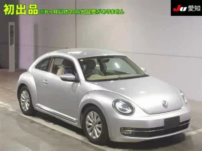 VOLKSWAGEN THE BEETLE