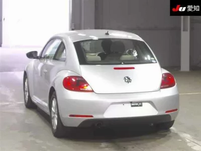 VOLKSWAGEN THE BEETLE