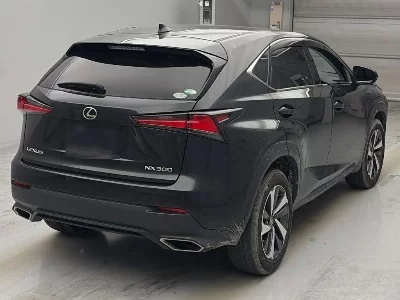 Lexus NX300