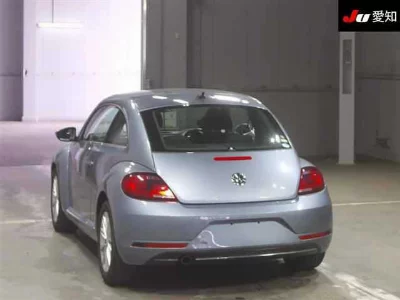 VOLKSWAGEN THE BEETLE