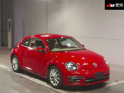 VOLKSWAGEN THE BEETLE