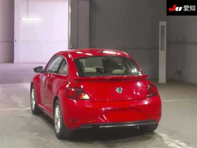 VOLKSWAGEN THE BEETLE