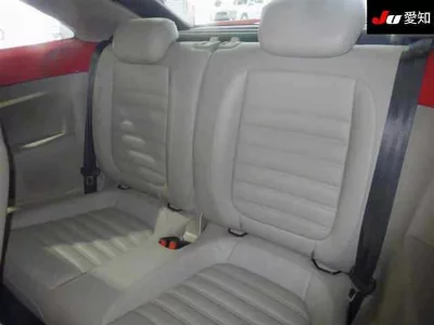 VOLKSWAGEN THE BEETLE